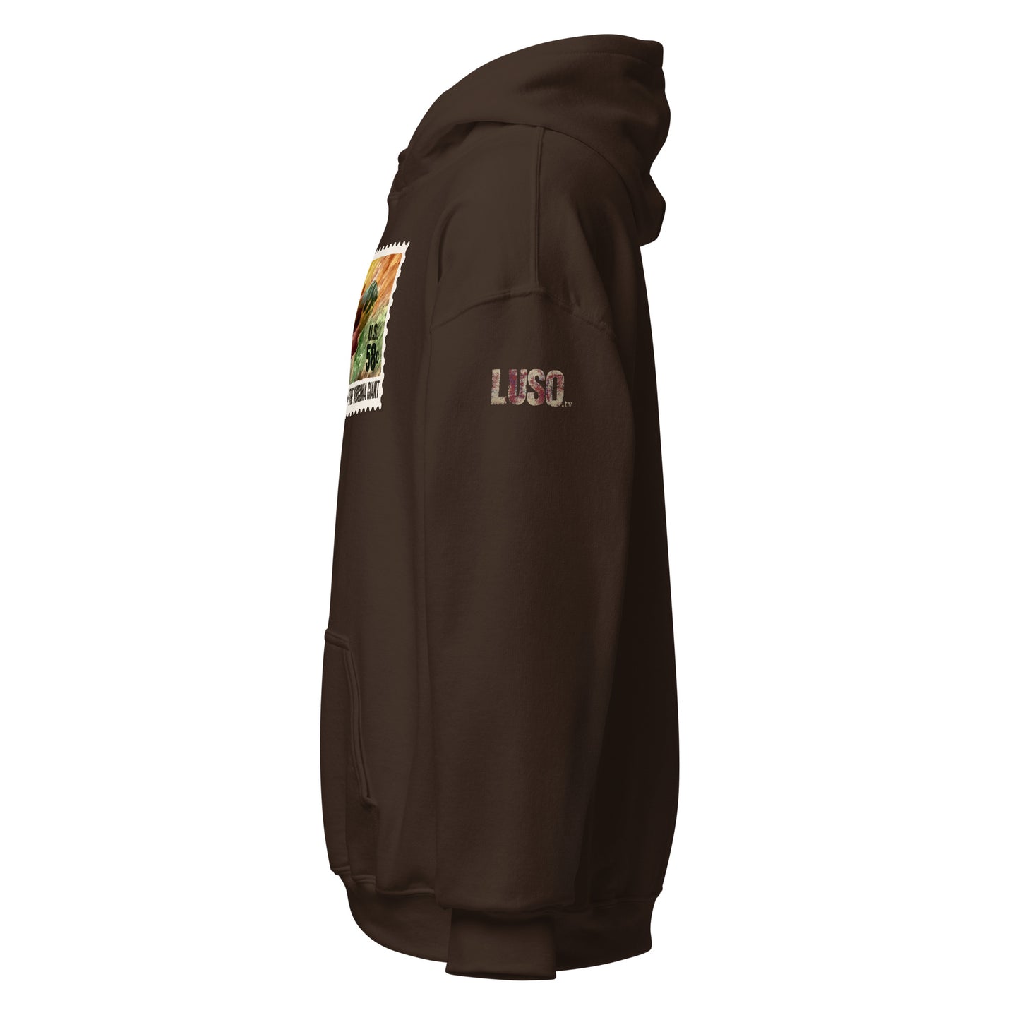 Virginia Giant Stamp Hoodie